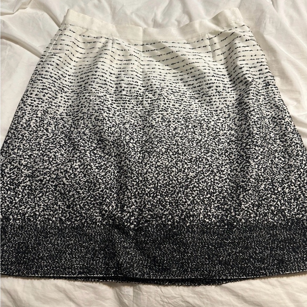 Chic Ombre Black & White Skirt